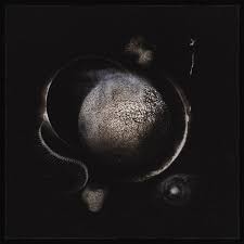 ENTHRONED - COLD BLACK SUNS - CD