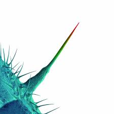 PETER GABRIEL - AND I'LL SCRATCH YOURS - 12/2013 - CD SN